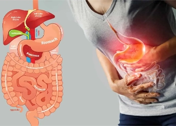 پروبیوتیک چیست ؟ معرفی 5تا ازبهترین قرص پروبیوتیک خارجی