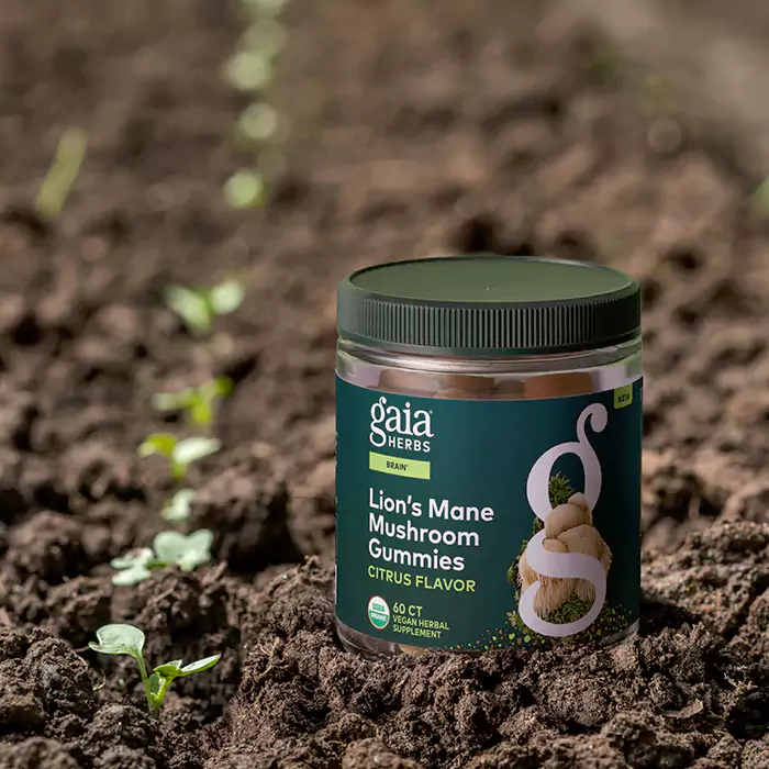 مکمل پاستیلی Lion's Mane Mushroom , Citrus از برند Gaia Herbs