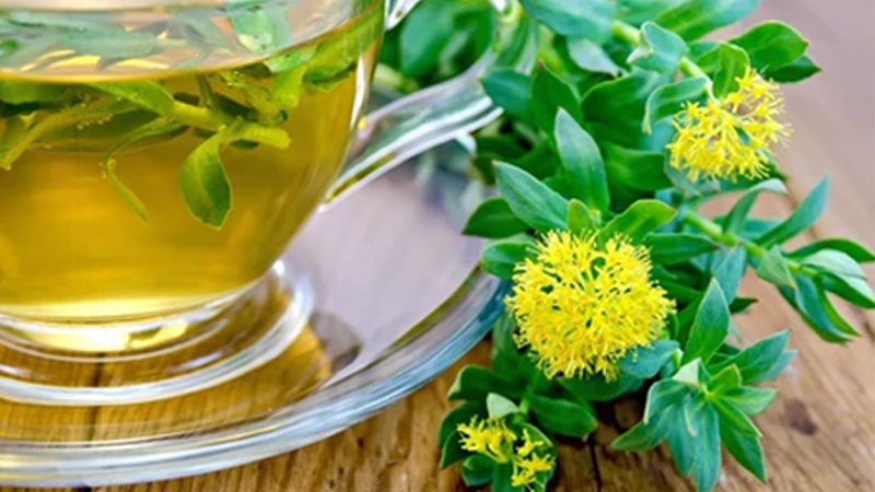 گیاه ریشه طلایی چیست : خرید قرص رودیولاروزا اصل
