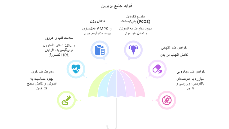 بهترین قرص بربرین خارجی