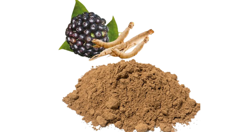 جینسینگ سیبری (ریشه Eleuthero) چیست؟