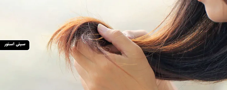 شامپو Elvive Dream Lengths از برند L'Oréal